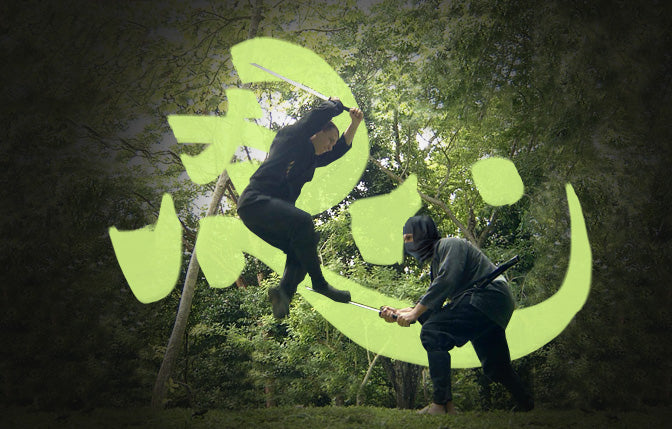 The Seal of Iga: Academic Validation from the Source of Tradition